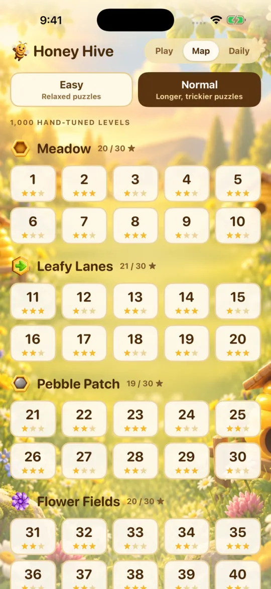 The level map